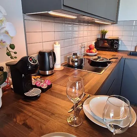 Stylish Apartment With Parking & Spacious Balcony 里加 外观 照片